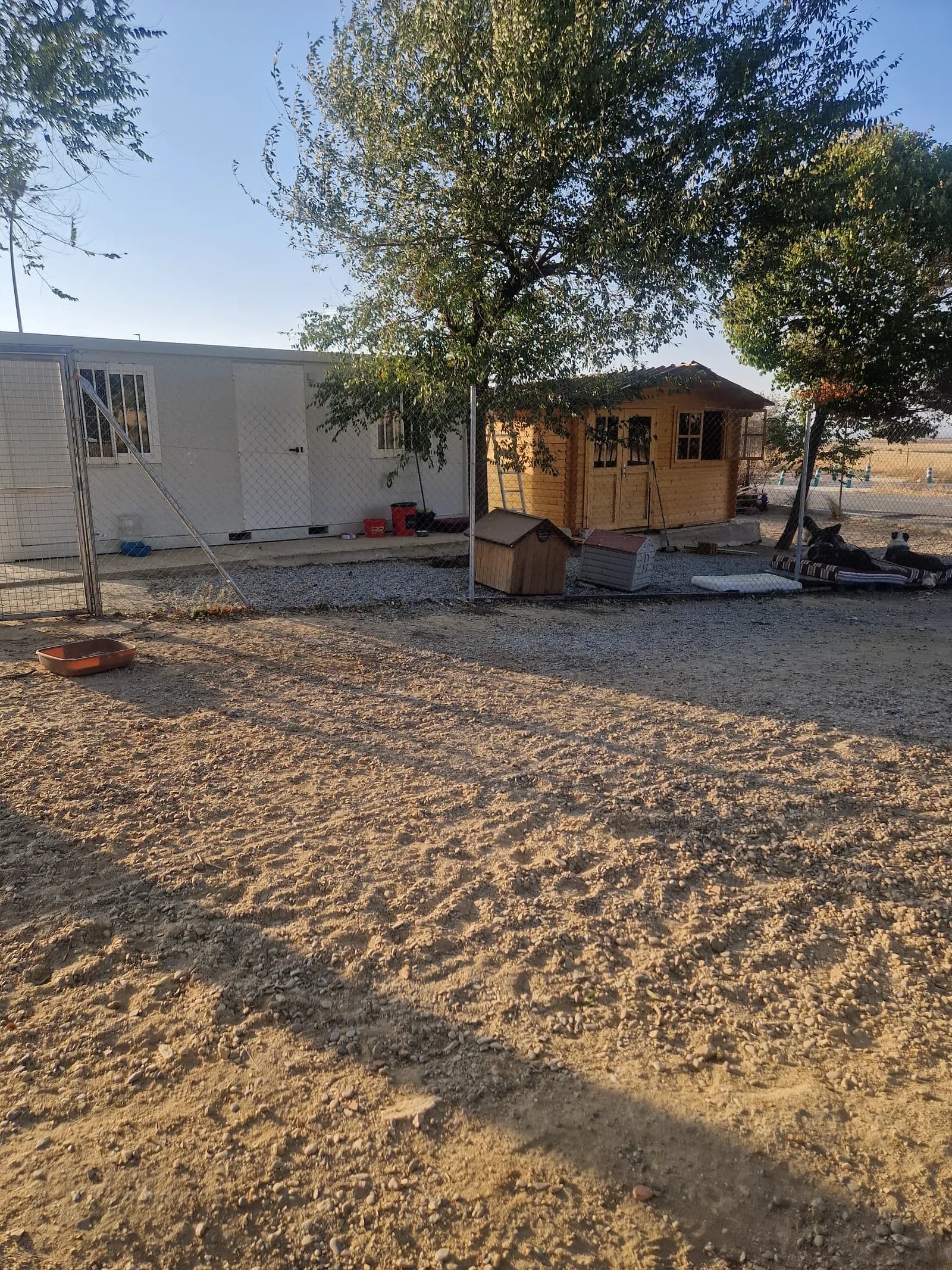El patio del refugio: la nave, las casetas de madera y el arbolado