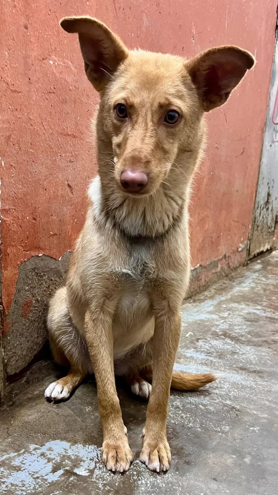 Chery, en el Refugio San Jorge