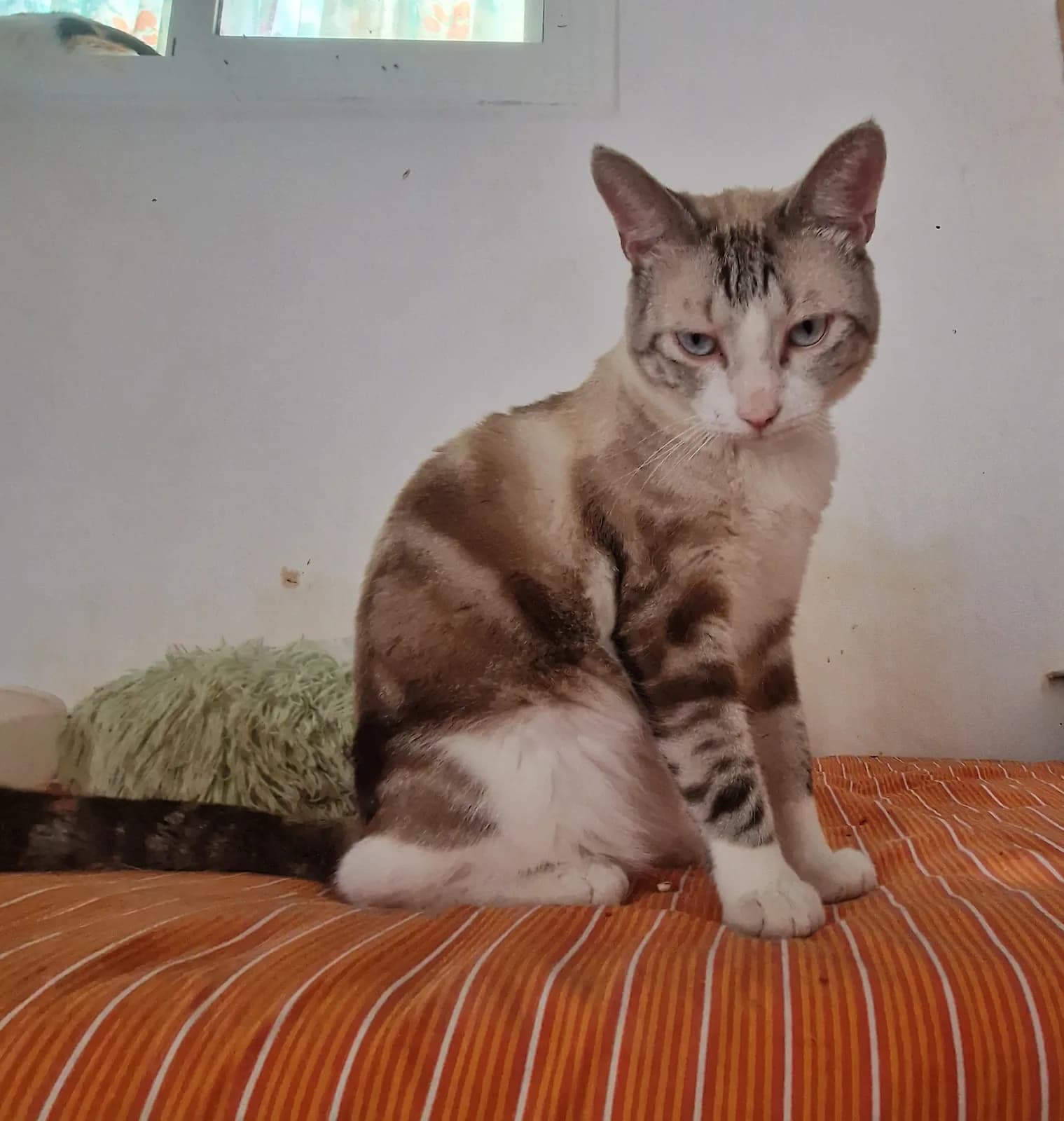 Kay, en el Refugio San Jorge