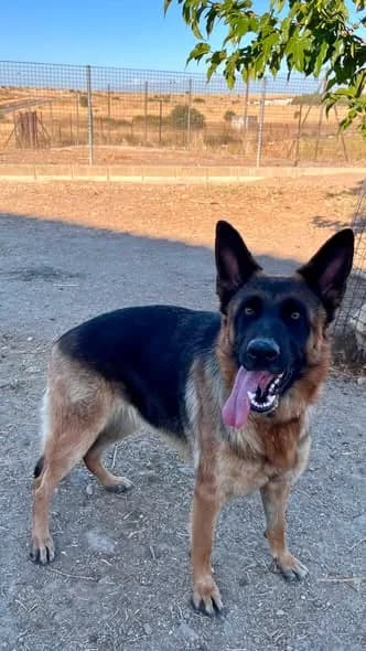Lola, en el Refugio San Jorge